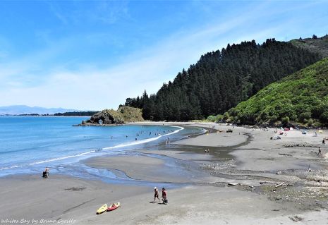 White's Bay