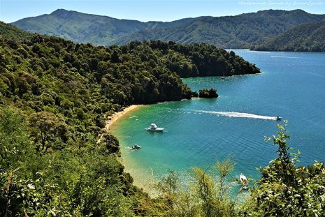 Marlborough Sounds