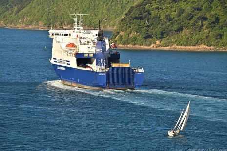 Wellington Ferry
